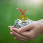 Piacenza Converenza Greeen Economy