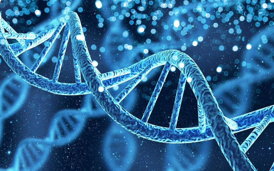 Stringa di DNA