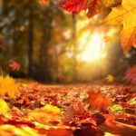 50&Più Salerno presenta le iniziative associative per l'autunno