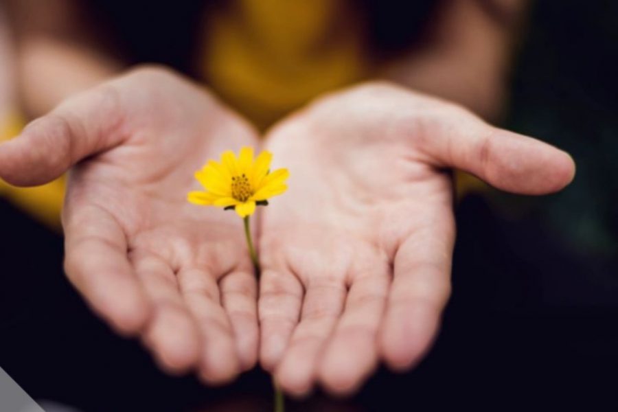 50&Più Piacenza donazione alla Caritas