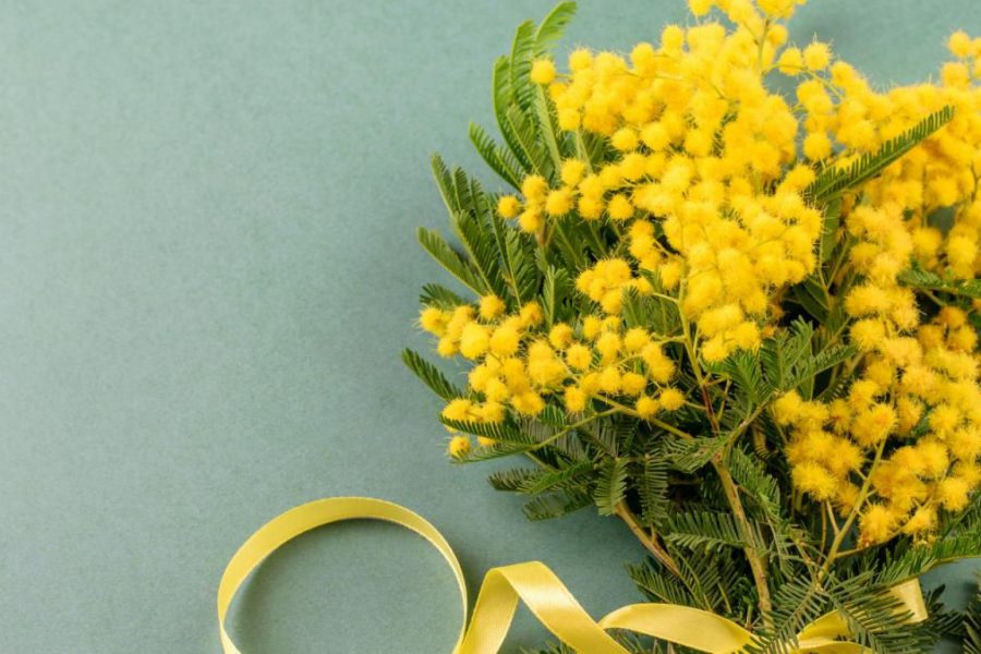 50&Più Torino festa della donna l'8 marzo